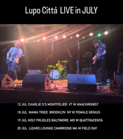 2024-0712-Lupo-Citta-Live